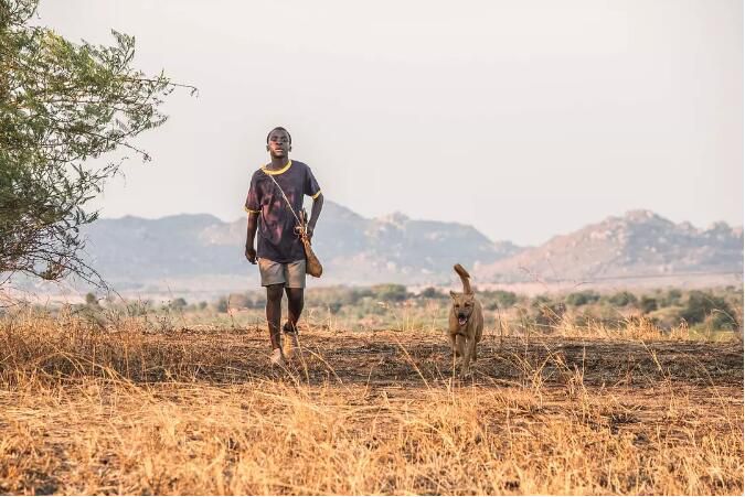 2019電影 馭風男孩 The Boy Who Harnessed the Wind 高清盒裝DVD