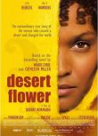 2009歐美高分電影 沙漠之花/Desert Flower 莉亞·科貝德 英語中字 盒裝1碟