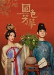 2025大陸劇《國色芳華/Flourished Peony》楊紫/李現 國語中字 盒裝6碟