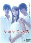 2010日本電影 離別之戀 相武紗季/上川隆也 日語中字 盒裝1碟