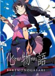 2009高分日本動畫 化物語 完整TV版15集 2DVD 日語中字