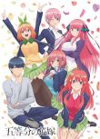 2019第二季度新番 五等分的新娘 DVD　2碟